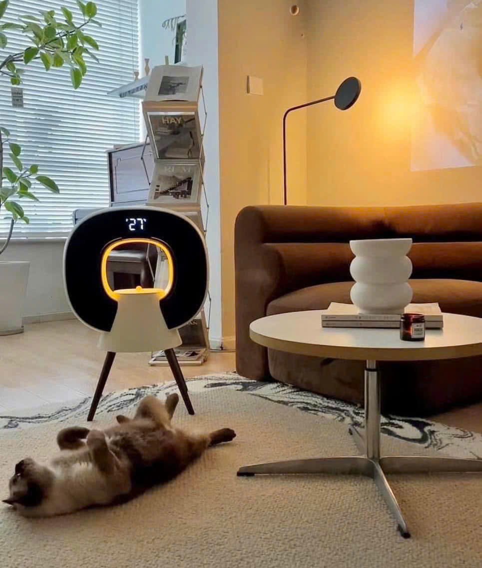 Máy sưởi và tạo độ ẩm 2IN1 Sothing 8