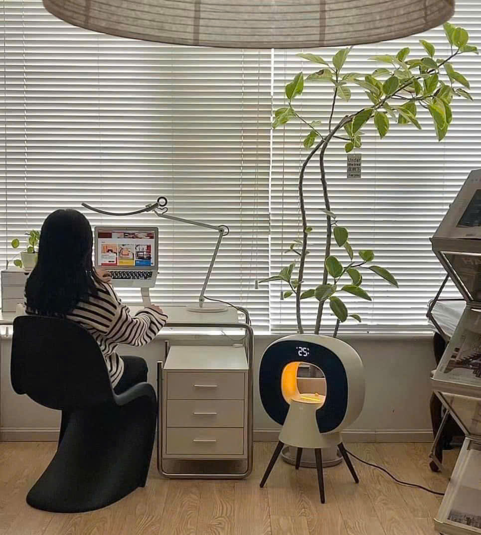 Máy sưởi và tạo độ ẩm 2IN1 Sothing 3