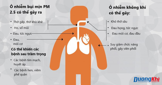ô nhiễm không khí ảnh hưởng tới mọi cơ quan trong cơ thể