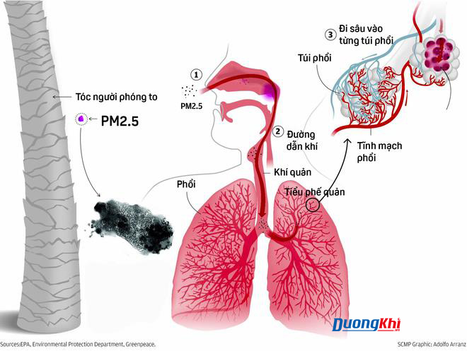 bụi mịn PM2.5 là gì