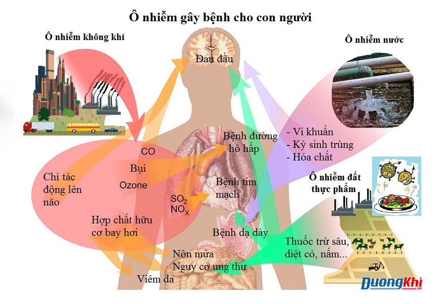 ô nhiễm không khí gây ung thư
