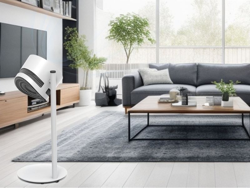 Quạt đối lưu Boneco F220 5