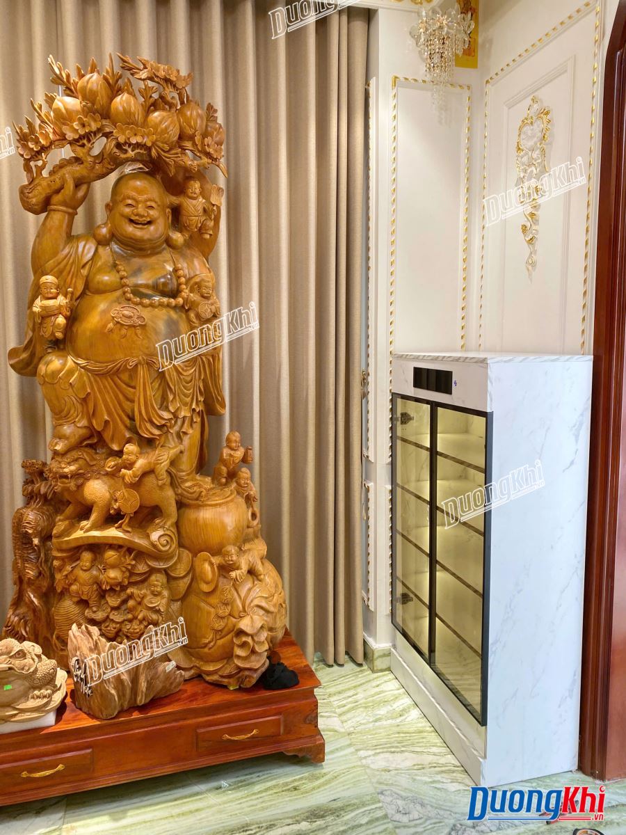 Tủ giày khử mùi thông minh DK78 4