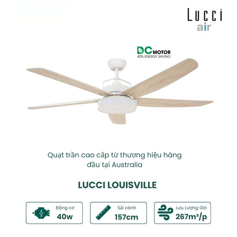 LUCCI LOUISVILLE WH